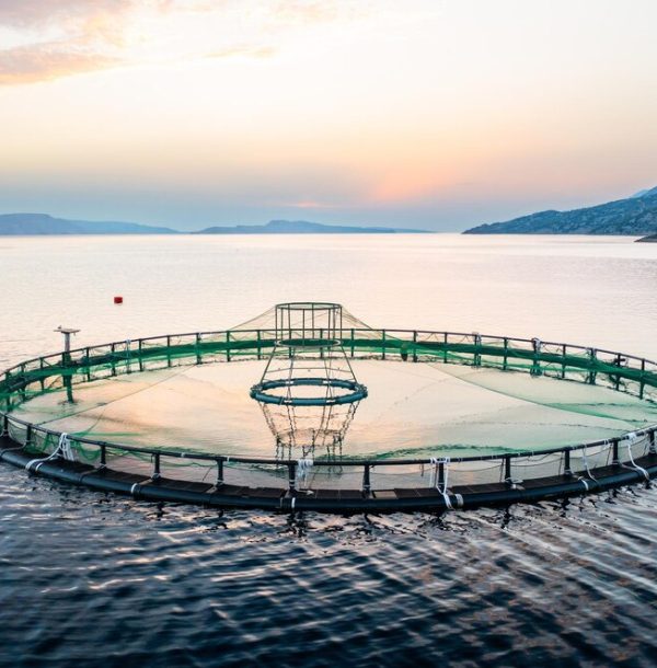 fish-farm-setup-calm-waters-sunset-rural-location_177415-6556